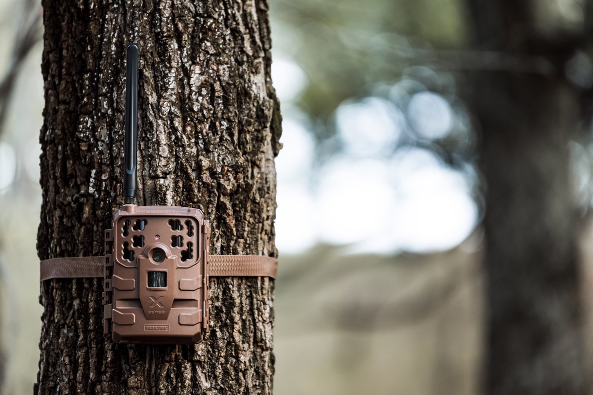 Moultrie's tweet photo. A step towards your once-in-a-lifetime season. Find yours at https://t.co/DU4uOx4nZ1 #MoultrieBase
Be sure to follow @moultriemobile on Instagram and Facebook for more. https://t.co/47a7kxUeHa