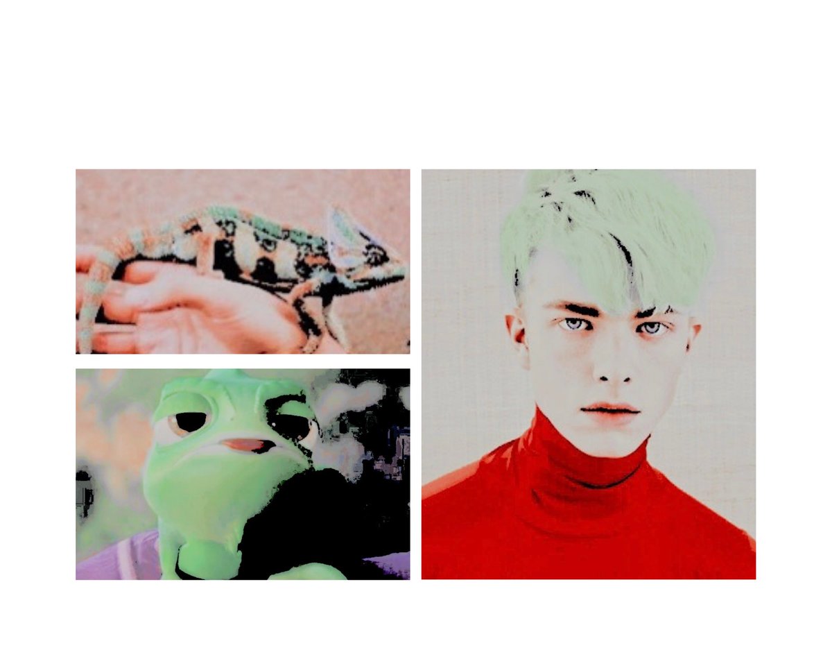 ⠀ ⠀ ⠀ ⠀ ⠀⠀ 
 ₊    ུ . ˚   ༉   ❪  𝑝𝑎𝑠𝑐𝑎𝑙, 𝑡𝘩𝑒 𝑐𝘩𝑎𝑚𝑒𝑙𝑒𝑜𝑛.   ❫   
  𝐧𝐚𝐭𝐮𝐫𝐞 𝐨𝐟 𝐭𝐡𝐞 𝐜𝐨𝐧𝐧𝐞𝐜𝐭𝐢𝐨𝐧: friendship.
  punz’ best friend.
  𝐬𝐞𝐭 𝐢𝐧: modern alternate universe sl’s.
  𝐟𝐚𝐜𝐞𝐜𝐥𝐚𝐢𝐦: paul craddock.

⠀