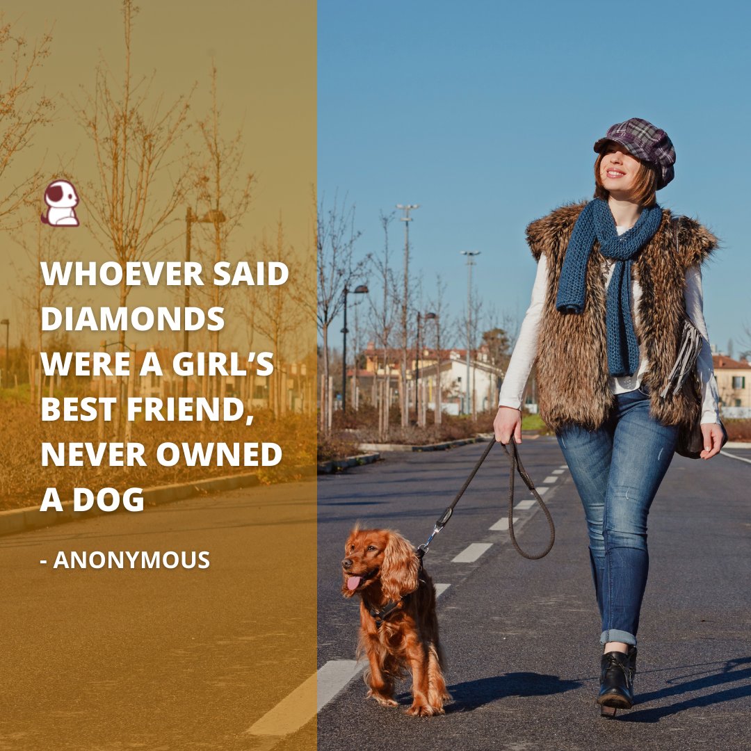 OurPooches's tweet photo. A dog makes the perfect fashion accessory.
#ourpooches #adorableanimals #doggycuddles #furbabylove #petlovers https://t.co/a2N73WSFFw