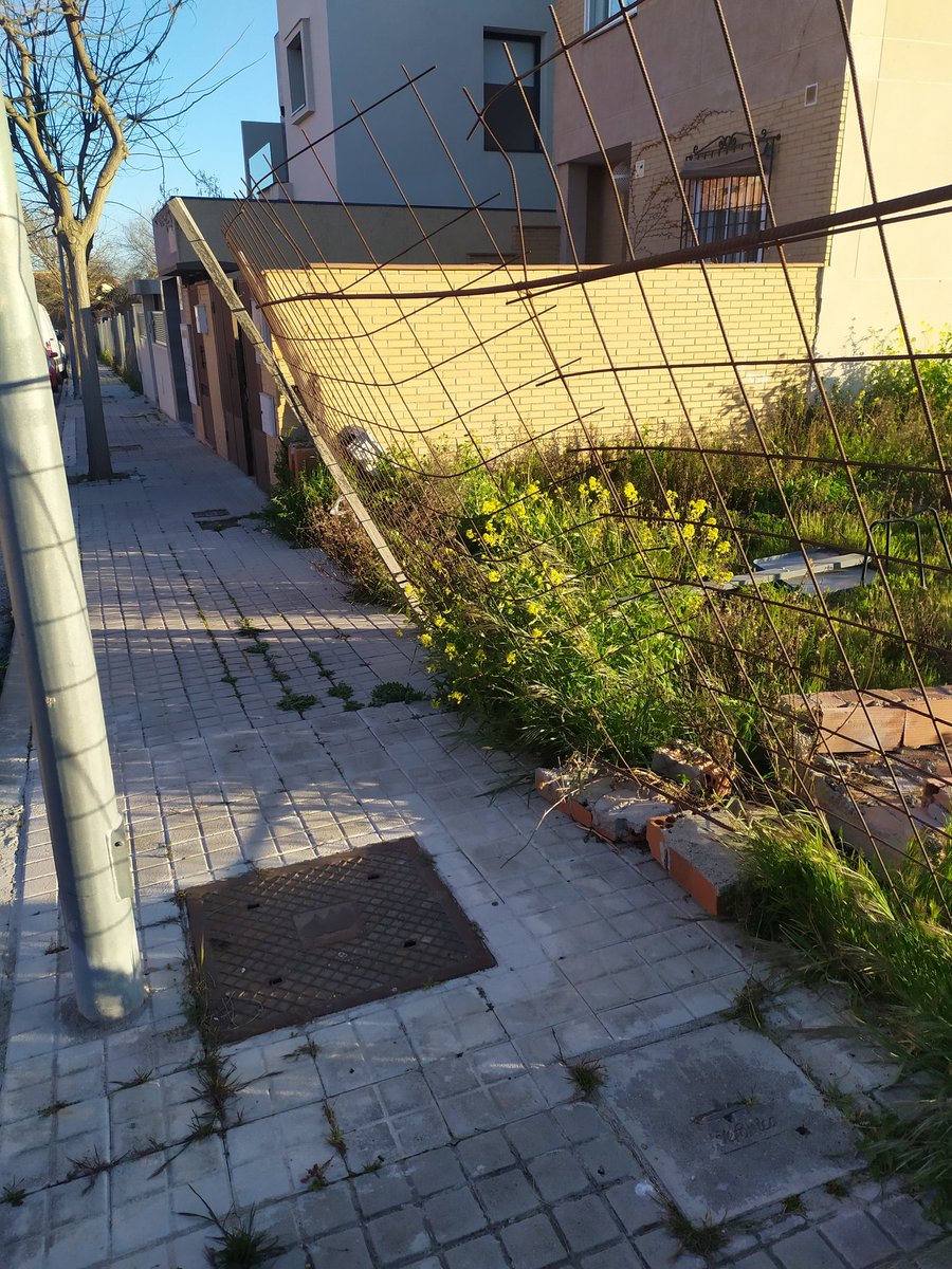 Manolit01503186's tweet photo. @sparra_alcalde @Ayto_Valdemoro @Ra_chel_1986 Como tenéis el pueblo esto es una vergüenza más de 10 años denunciando el vallado de la calle Bolivia con calle Haití, y éste es el estado. Frente a la Residencia de Mayores El Balcón. Muchísimas gracias por la comprensión. https://t.co/tIbLGu9vT2