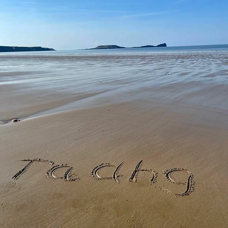 sophie spence tweet media