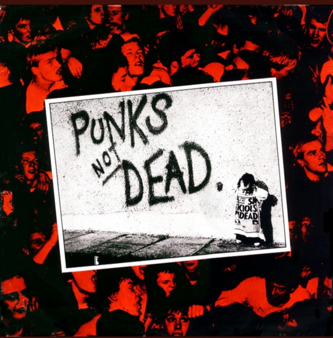 bsky1111111 (@toto_pauli) on Twitter photo 