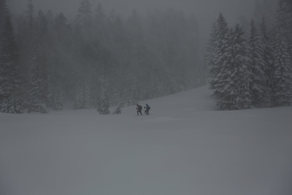 KarialtPhoto's tweet photo. Snowshoeing at Crater Lake (first time using a DSLR) https://t.co/jIg1a8rMjc