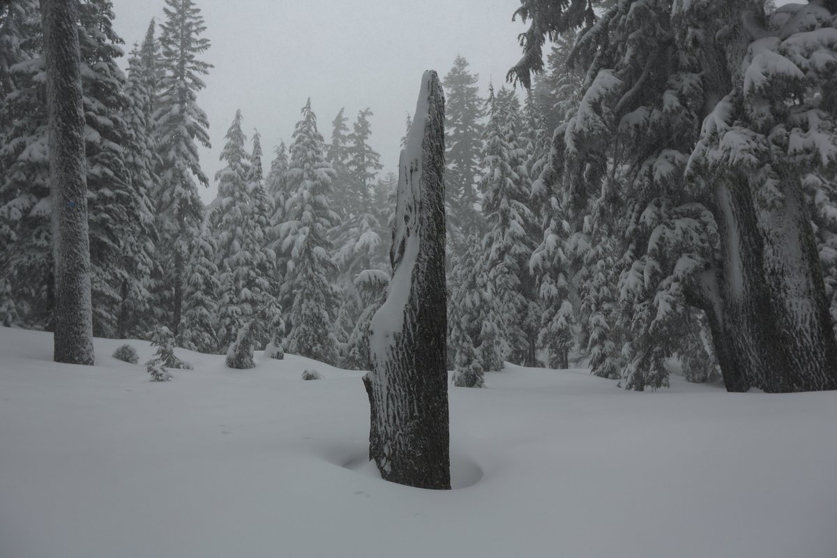 KarialtPhoto's tweet photo. Snowshoeing at Crater Lake (first time using a DSLR) https://t.co/jIg1a8rMjc