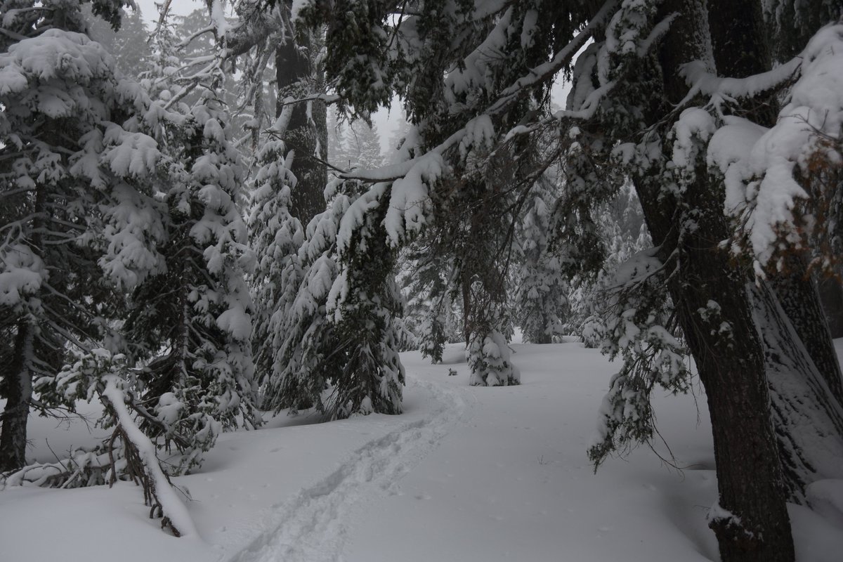 KarialtPhoto's tweet photo. Snowshoeing at Crater Lake (first time using a DSLR) https://t.co/jIg1a8rMjc