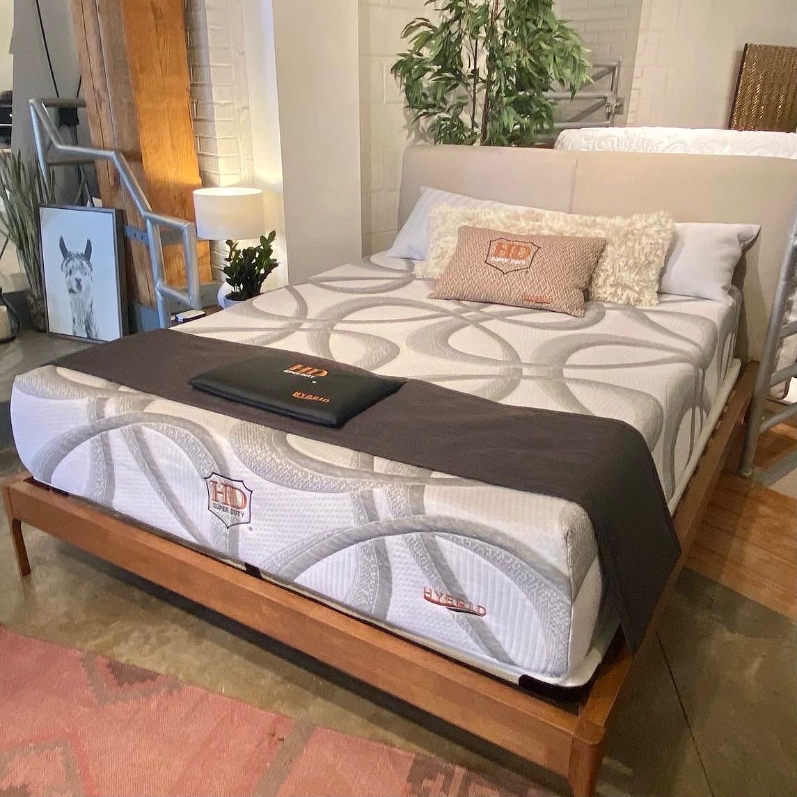 ParamountSleep's tweet photo. Our Paramount team worked hard and had a blast at High Point Market this week! Here's a peek at what's new for 2022.
.
#HPMKT #HPMKT2022 #HighPointMarket #LuxuryMattresses #ParamountSleep #SleepIsParamount @HPMarketNews https://t.co/yQ9kcPeLYO