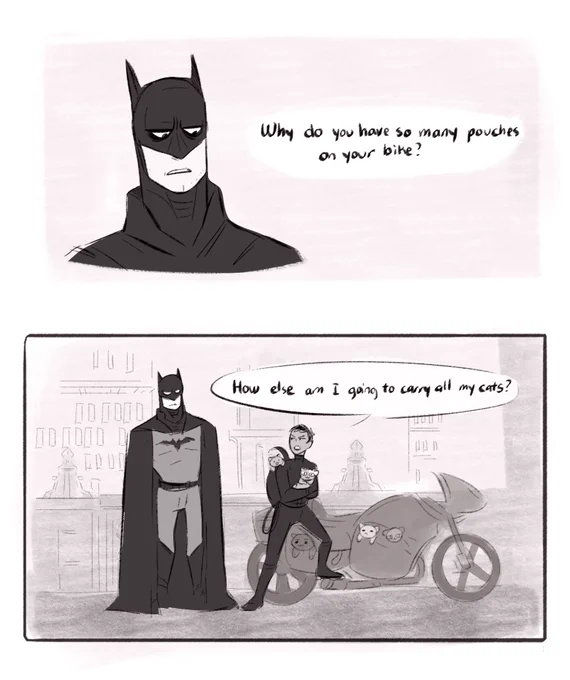 I shoulda posted the comic with it #batcat #TheBatman 