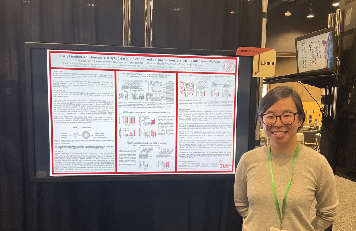 Here is our resident and McGraw Fellow in Neurology Research @virginia_gao presenting her remarkable study @AANMember #AANAM. What are the early biochemical changes in the enteric + CNS in #Parkinsonsdisease? @WCM_BMRI @carlvcrawford @WeillCornell