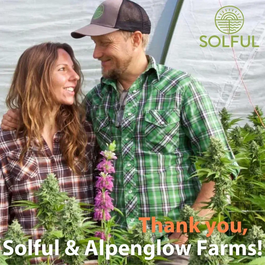 FFTFoodBank's tweet image. Solful and their generous farm partners are fundraising for Food For Thought during the entire month of April by donating $1/per cannabis flower purchase to FFT... and Solful is matching 100%! Purchase your flowers in person or online at buff.ly/3DHlxWx until April 20!