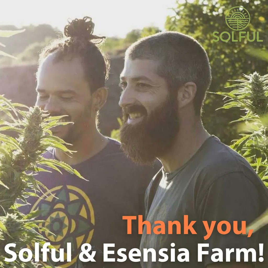 FFTFoodBank's tweet image. Solful and their generous farm partners are fundraising for Food For Thought during the entire month of April by donating $1/per cannabis flower purchase to FFT... and Solful is matching 100%! Purchase your flowers in person or online at buff.ly/3DHlxWx until April 20!