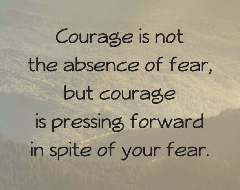LucyFi23's tweet photo. A great quote about courage. It takes a good leader to take action in spite of fear. #pdsl #leadership @patriciamannixm  @niamhickey https://t.co/Xpc4raOlrK