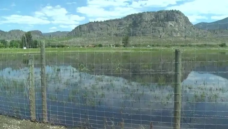 ClimateAgBC's tweet photo. SOUTH OKANAGAN FARMERS: CONCERNED ABOUT FLOODING? –
Check out this handout all about flood risk, flood mapping, flood monitoring and who to contact in an emergency.
https://t.co/D7ODwhdBNf
#CdnAgPartnership https://t.co/FONKI8r5U8