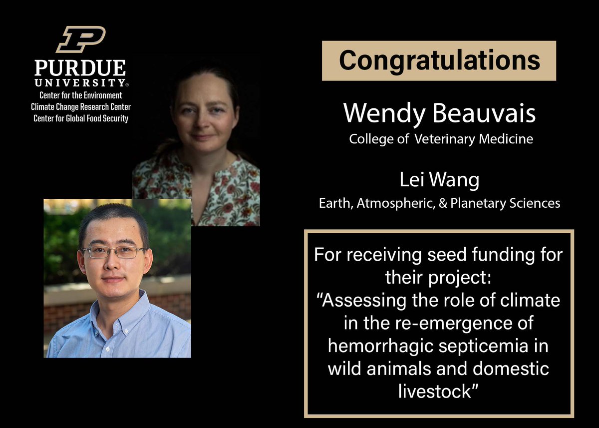 In the coming days, we'll be spotlighting seed grants awarded to Purdue faculty to help initiate new climate-related projects
First up,congrats Wendy Beauvais &amp; Lei Wang on their project to determine the role of #climate in hemorrhagic septicemia outbreaks bit.ly/3xaQBNu