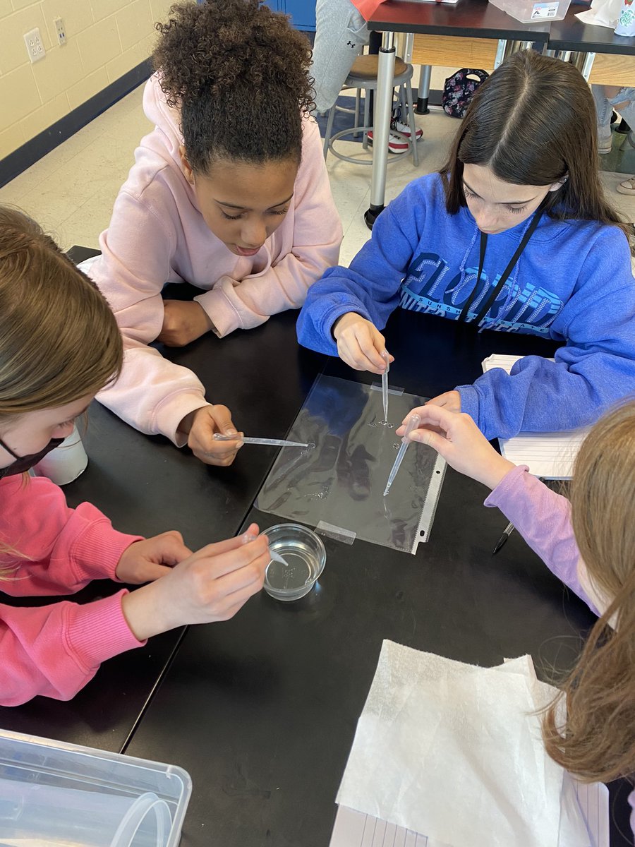 MrsEtense's tweet photo. What happens to the water vapor in the air if the air cools down? @OpenSciEd 6.3 @NGSS_tweeps @MrsCEastShore @MrsSTEMilford #6thgradescientists #waterdropletcollisions #investigations https://t.co/pHPS3EA4l5