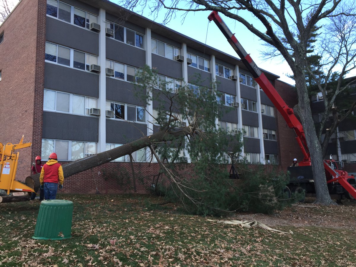 amazingtreesnj's tweet image. Tree Removal Service in NJ
 #Google local.google.com/place?id=47024…
#TreeRemoval
#TreeRemovalServiceNJ