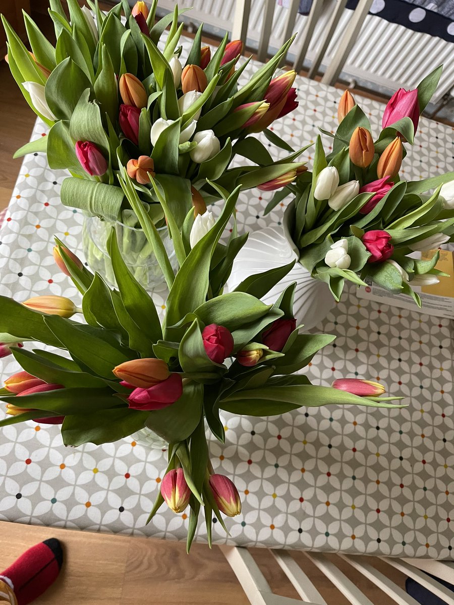 alilou555's tweet photo. @shaky77 What a lovely surprise! Delivery of my favourite flowers. So you might be busy climbing a little hill 🤣🤣 but I must say that you are very thoughtful and maybe not that bad of a husband🥰🥰 thank you.  Xxxxx
Also thanks you Louise they are beautiful x https://t.co/3Zy3kIztSy
