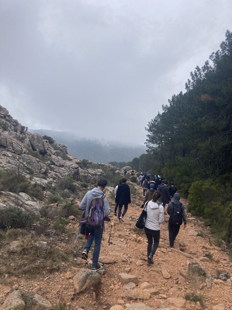 pamattei's tweet photo. Day 3 of @StatFr’s #Statlearn2022 at @IES_Cargese was about double descent (of the test risk, as demystified by Claire Boyer) in the morning and double decent (of the hills of the calanche di Piana) in the afternoon 🏔⛰ https://t.co/cQp6Mqaodh