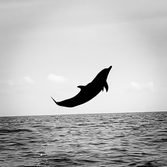 Jen Nilsson I Travel Writer & Blogger 🌍 tweet media