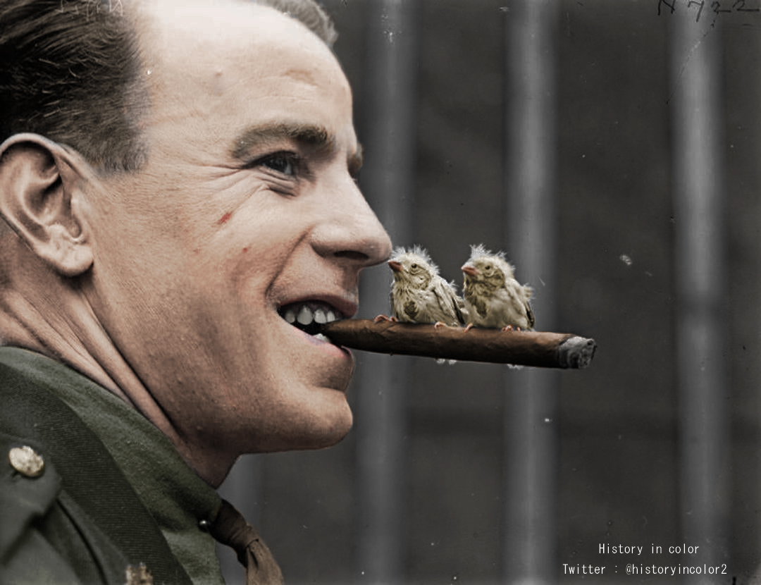 histoire_colo's tweet photo. Un officier du General Service Corps (Corps des services généraux) avec des canaris provenant de villages évacués, vu à Neulette, 26 août 1918. Photographe : Thomas Keith (sous-lieutenant) #pixelswar #KohLanta #RedditPlace https://t.co/xy3wC4qkh1