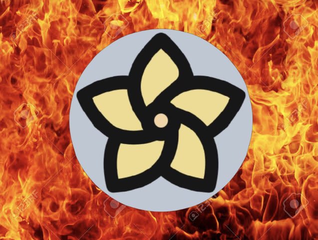 omnidojo1's tweet photo. 450 charm to the burn address!! Buy an OmniDojo and burn $charm 🔥🔥🔥 https://t.co/cyZlvjWpzr
