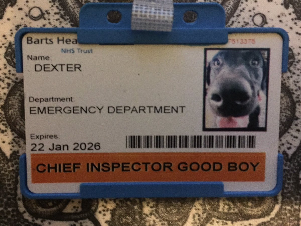 PD’s Dexter & Mika - MPS Welfare & Trauma Dogs tweet media