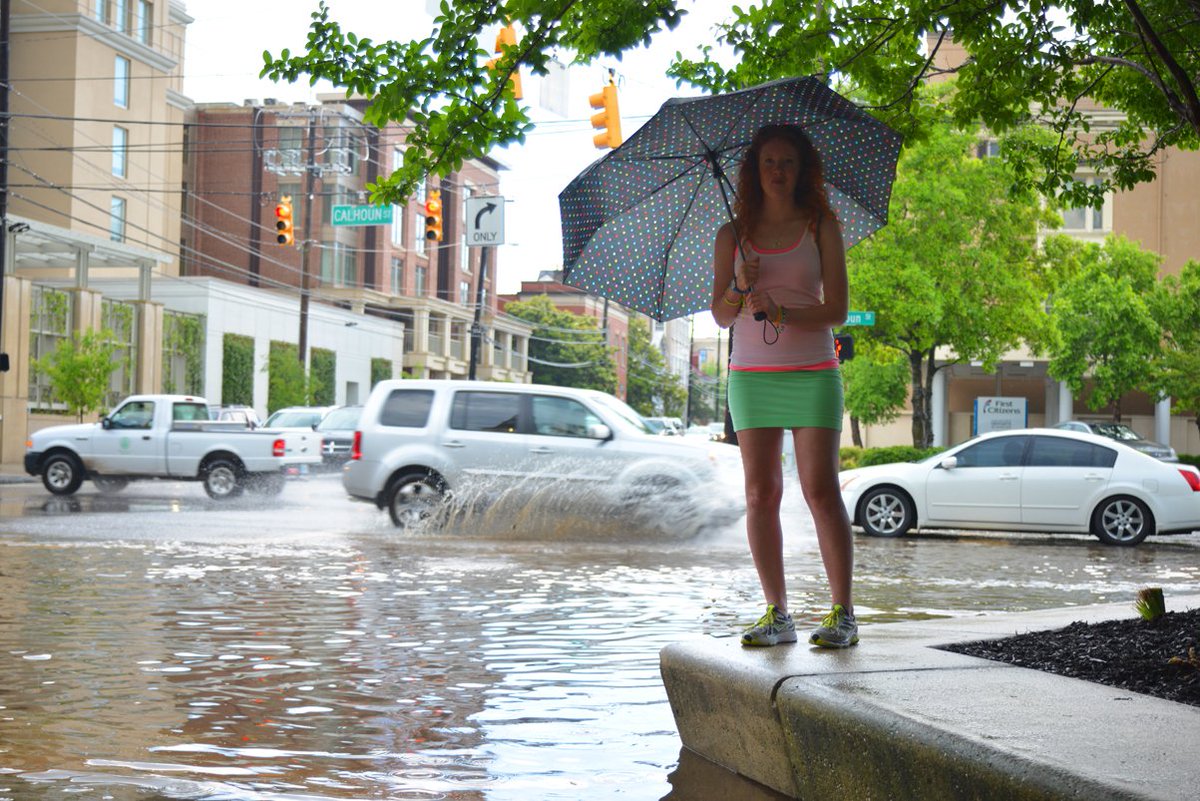 Trip To Blog tweet media