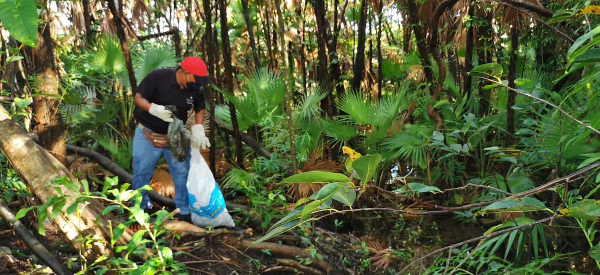 AytoCancun's tweet photo. El Ayuntamiento de Benito Juárez, a través de la dirección de Ecología, invita a la próxima jornada de saneamiento de humedales de agua dulce que será el día de mañana jueves 7 de abril en la #SM233.🌎💚
📍Ubicación Calle 23 entre calle 86 y 82 https://t.co/GKyWak9inj