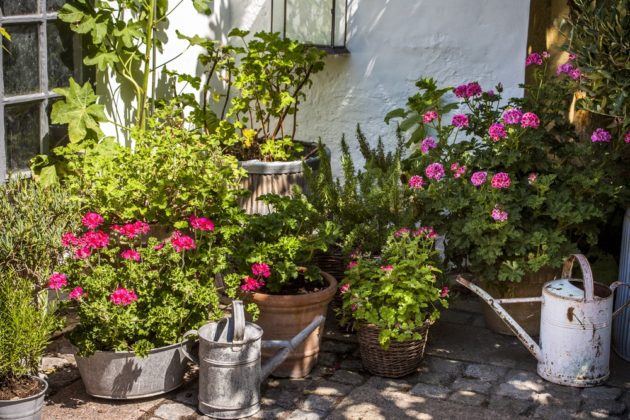 TEGmagazine's tweet photo. Is the patio in your garden in need of a revamp? Here are 9 easy ways to transform your patio displays, without having to break the bank, or your back.   https://t.co/U0DGGg4EQZ

#garden #gardendesign https://t.co/YD11UcZVta
