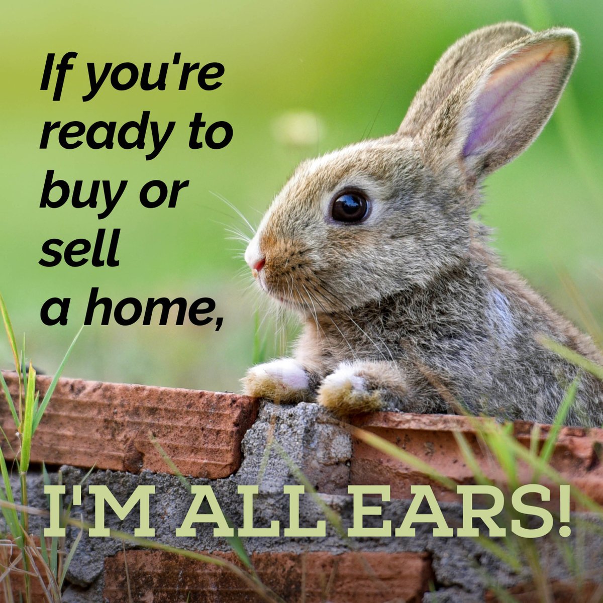 DurhamsPorch's tweet photo. Whenever you're ready to hop into a new home, we're prepared to assist you like no-bunny else! 🏡🔑🐰 #frontporchproperties #frontporchjourney #mainstreetrealtors #realestate #realestateagent #memphisrealestate #spring #bunny #easter https://t.co/Lo6JBdF0Ik