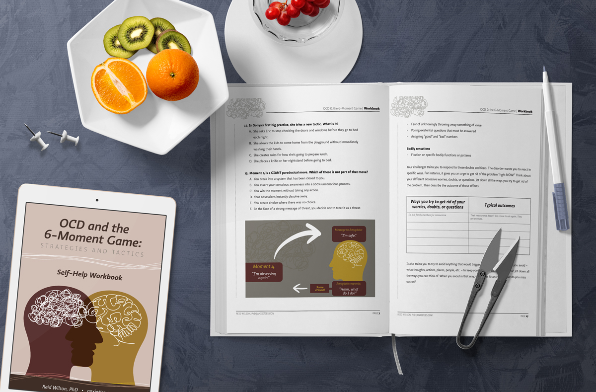 Did you know you can download the workbook from my latest online course, OCD &amp; the 6-Moment Game? Grab it today!

This comprehensive workbook helps you review and retain information on the important topics covered within the course. 

Grab your copy at anxieties.com/workbook