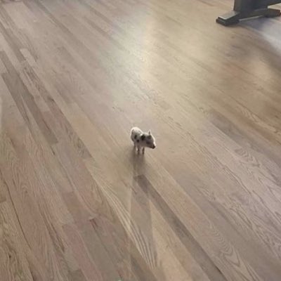 randi_berg's tweet photo. #NewProfilePic https://t.co/YTrpTqu6pY