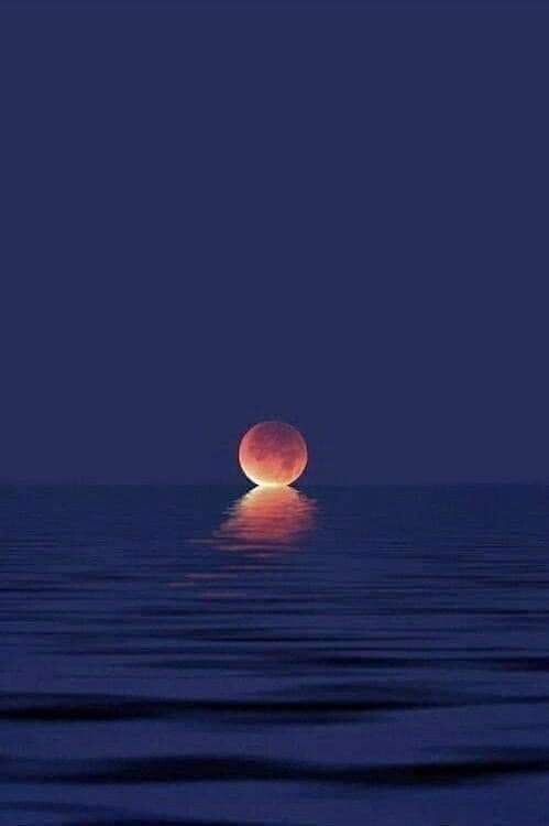 Lola43421215's tweet photo. МОРЕ И ЛУНА!!! https://t.co/EUTsiZYPHh