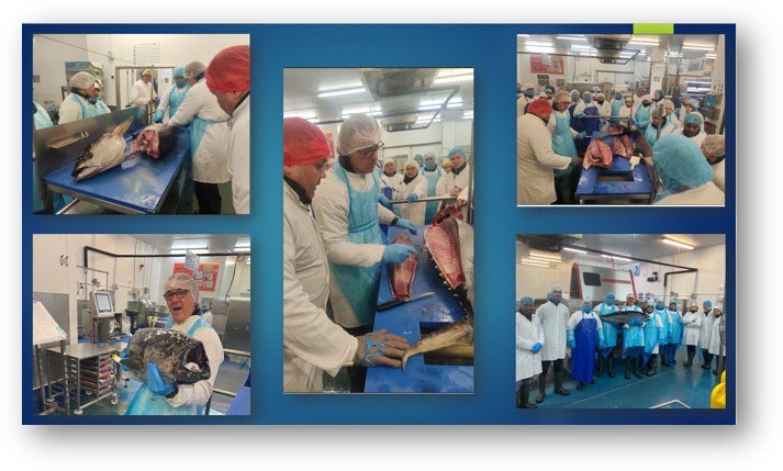 Duncan (@fish_ninja5) on Twitter photo Perfect day doing what I love Perfect day doing what I love