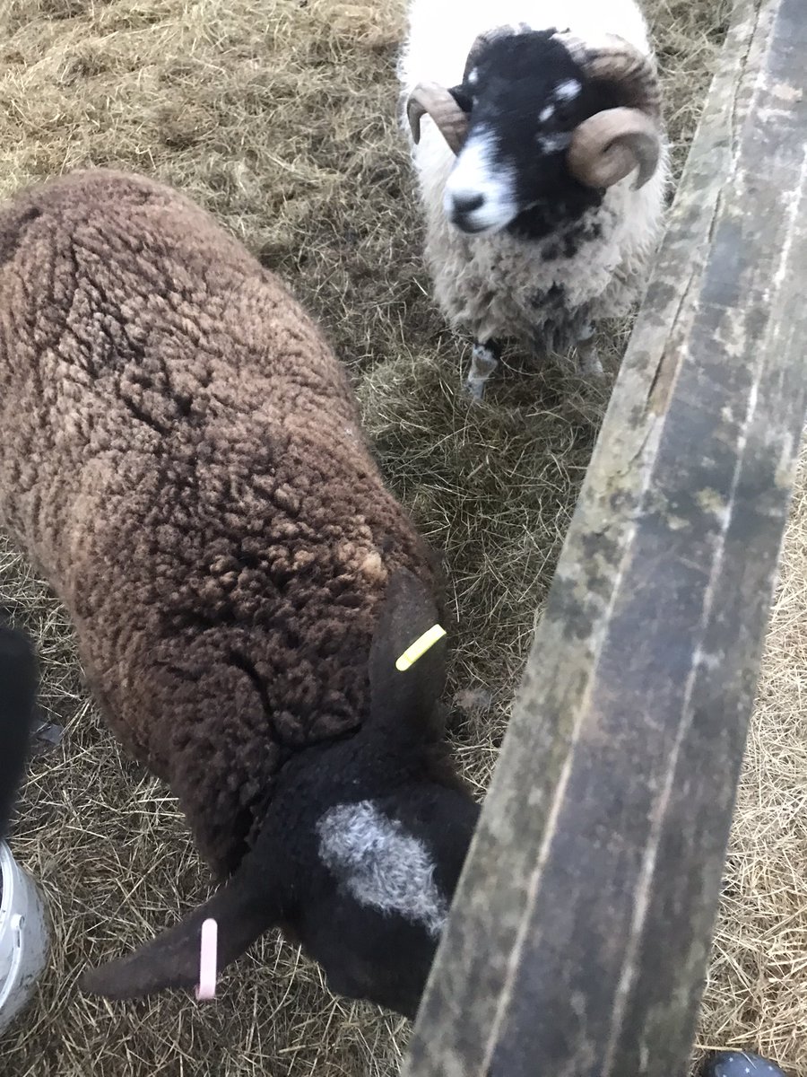All seems well here but there is fowl play. I know you should not have a favorite bucket but I do … filling water container Zac decided to have look in … tobynobumnomum head buts poor Zac and follows thorough spill water and then smashed bucket .