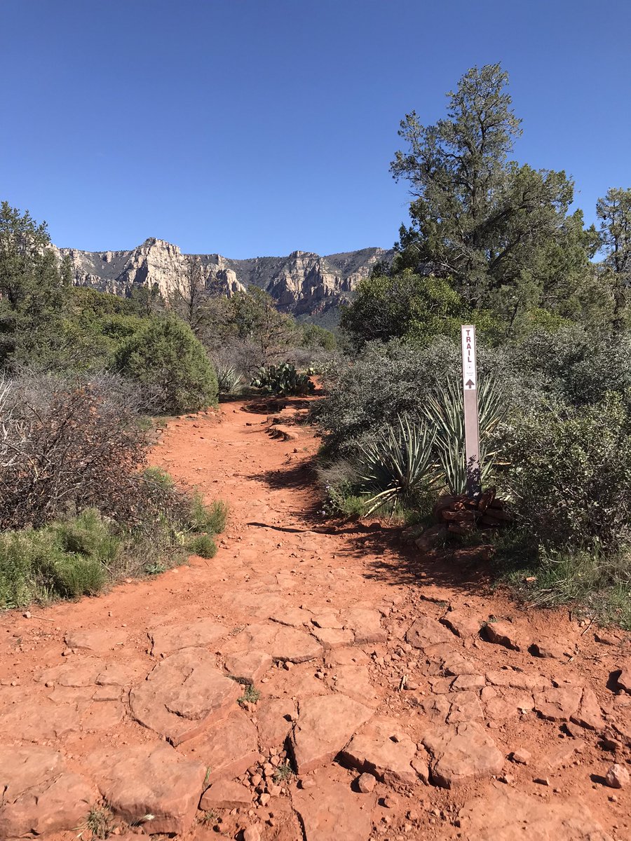 environeducate's tweet photo. Exploring Arizona’s ecosystems in Tucson, Sedona, and the Grand Canyon! https://t.co/Aherjn1N21