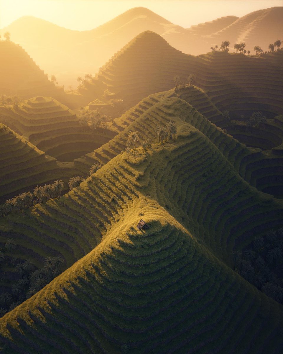 Visualsofjulius's tweet image. Final and clay render☺️