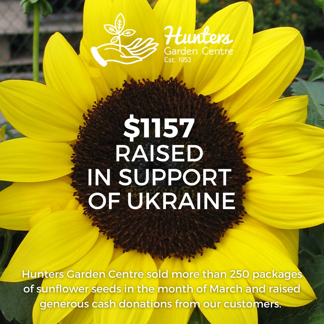 HuntersGdnCtr's tweet photo. Thank you to all who supported our fundraiser for Ukraine in the month of March. We sold 253 packages of sunflower seeds, plus generous cash donations from customers. We have donated $1157 to the Red Cross. https://t.co/gUTpZaD0y3