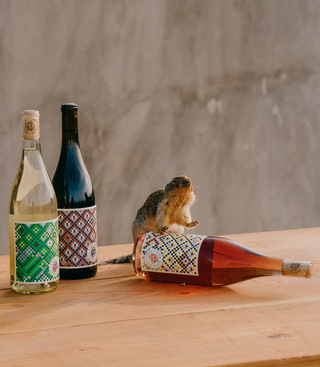 Rapport Seattle tweet media