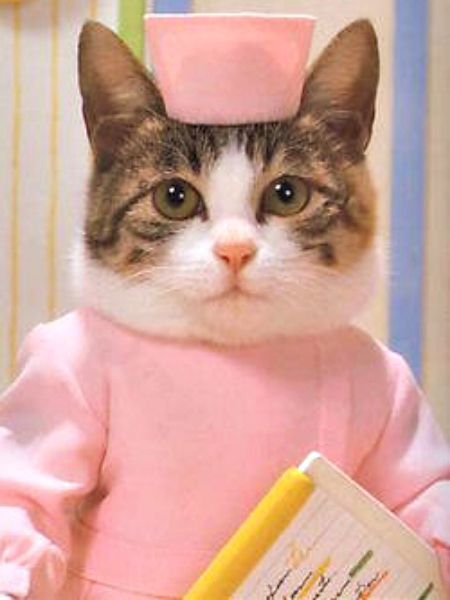 catphoric's tweet photo. When you're next in line and the nurse is waiting for you. It's ok don't be scared get your booster! https://t.co/eMyK04YhPx