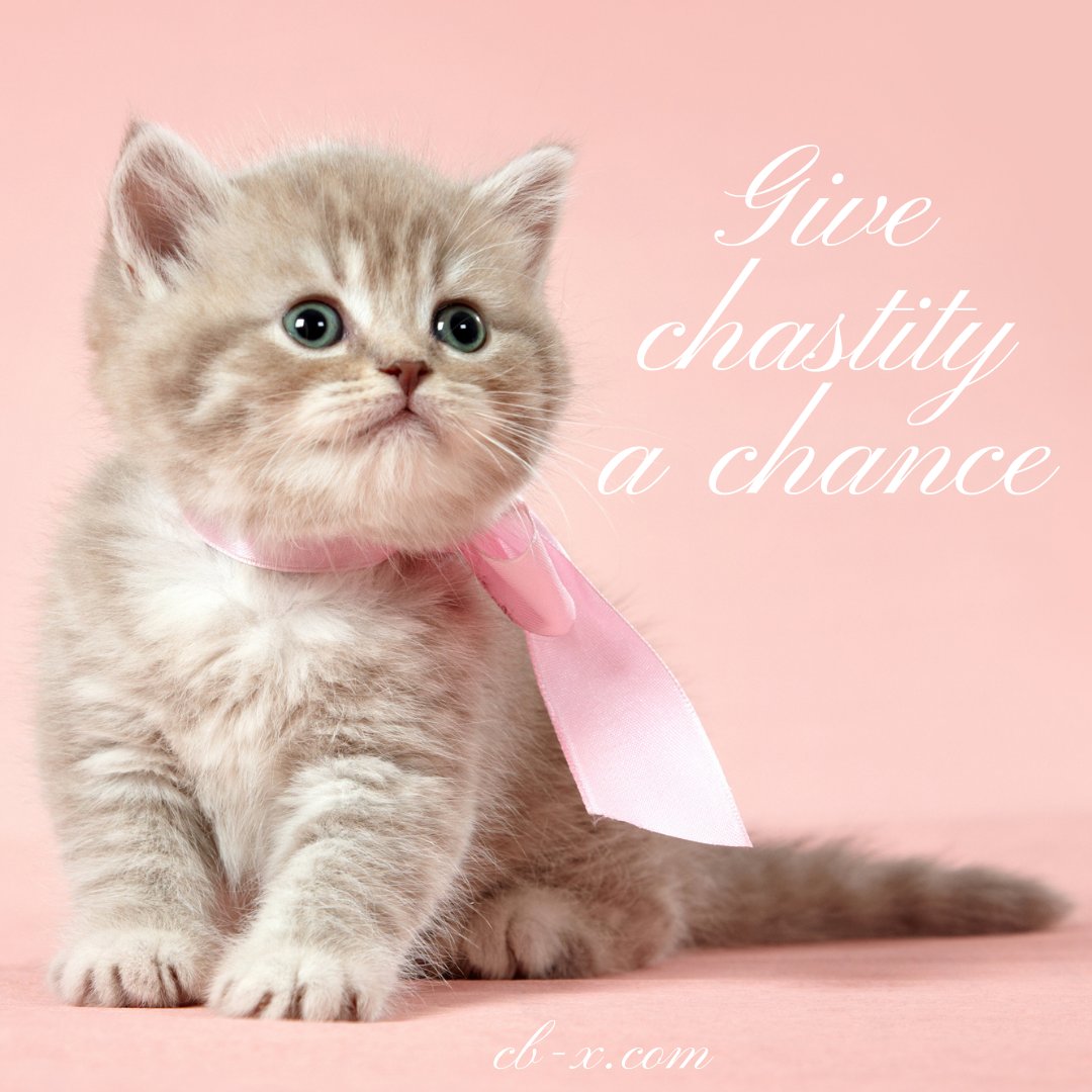 cbxchastity's tweet photo. PSA: Wearing a chastity cage can be soft precious kittens, not just whips and chains y'all
Give #chastity a chance- shop our complete chastity kits at https://t.co/NeVjVe3qEB!
#chastitycage #foreplay #kinky #romance #trykink https://t.co/wbbubT2OCc