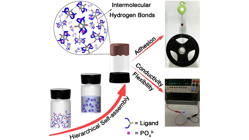 angew_chem's tweet photo. Hierarchical Self-Assembly of Adhesive and Conductive Gels with Anion-Coordinated Triple Helicate Junctions (Wu) @yangdong1900 https://t.co/mGWnzOFh80 https://t.co/r58cQUabEF