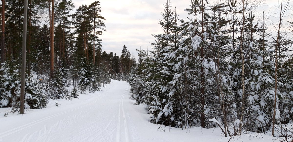 Today is a World Day for Physical Activity. I commuted by bike and went for Nordic skiing in the evening. What did you do? #wdpa2022 #PhysicalActivity #xcskiingseasoncontinues