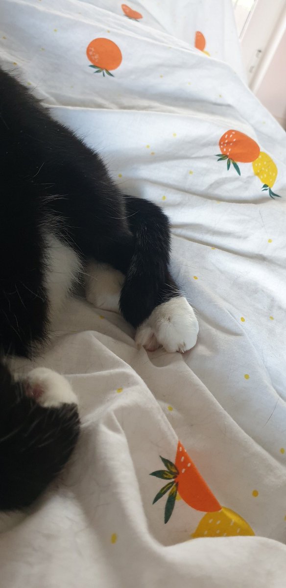 zoomyluna's tweet photo. crossy tale for ur considers https://t.co/Woq7EkA5ce