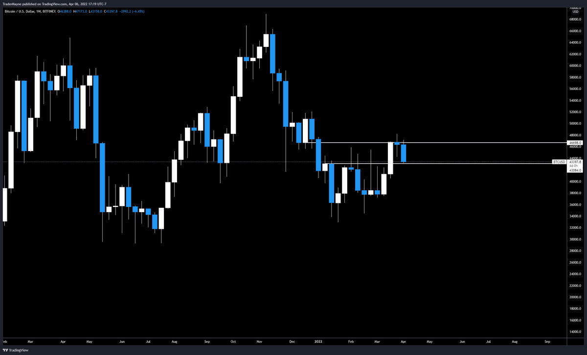 Tradermayne tweet picture
