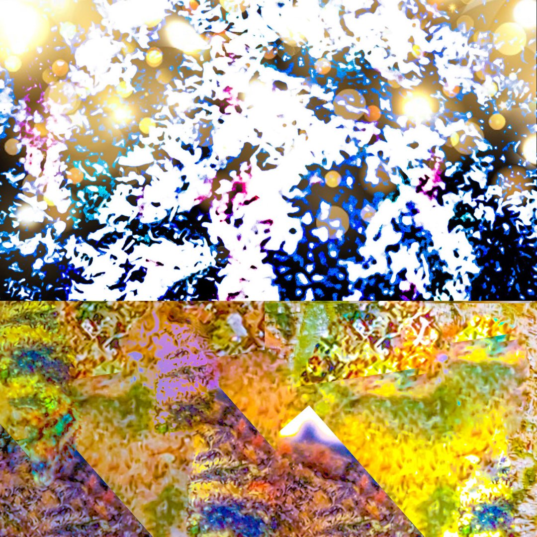 NFTPALS (@_nftpals) on Twitter photo 