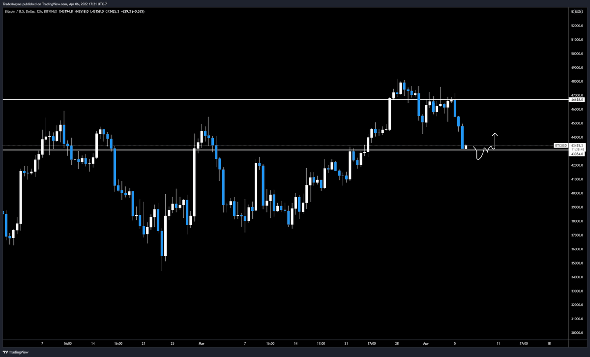 Tradermayne tweet picture
