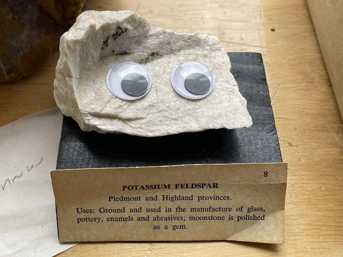 Dr_Mastodonna's tweet photo. Delighted to see an increased interest in geology on the Armstrong campus! @GASouthernGeo @GSCOSM https://t.co/vVl9AsvBXL