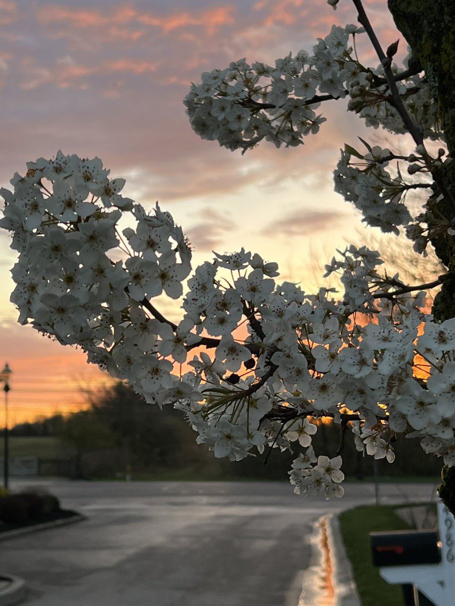LaxFanInOhio's tweet photo. @KodyFisherTV @FOX19 https://t.co/v17Tn6FPuI
