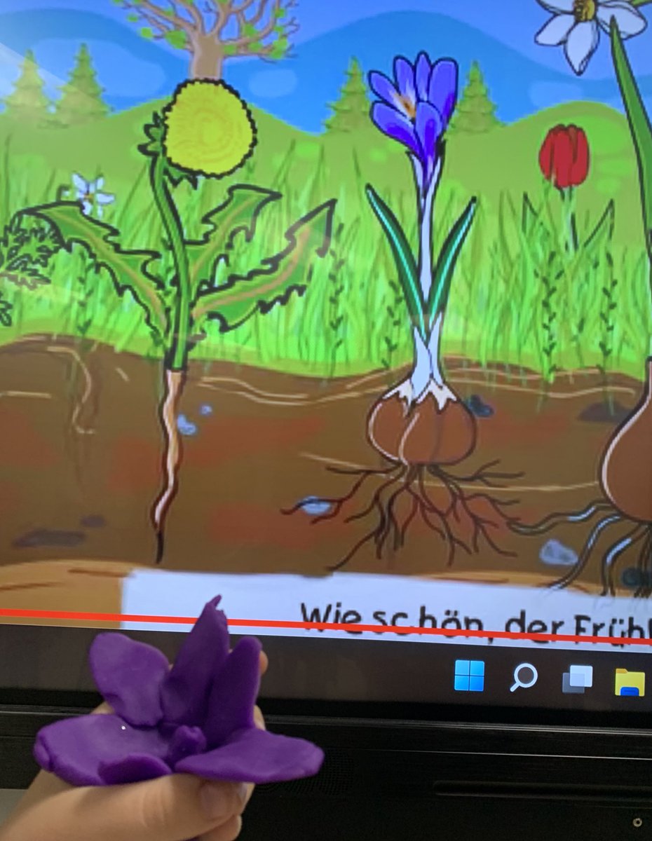 FSmeef's tweet image. Just a few examples from our k-2 #German Explorers sculpting Frühblüher (early spring blooms). Students were chatting away at the different colors and shapes using one of their favorite phrases right now - “Soooo schön”! #OFOD #WeDeliverExcellence