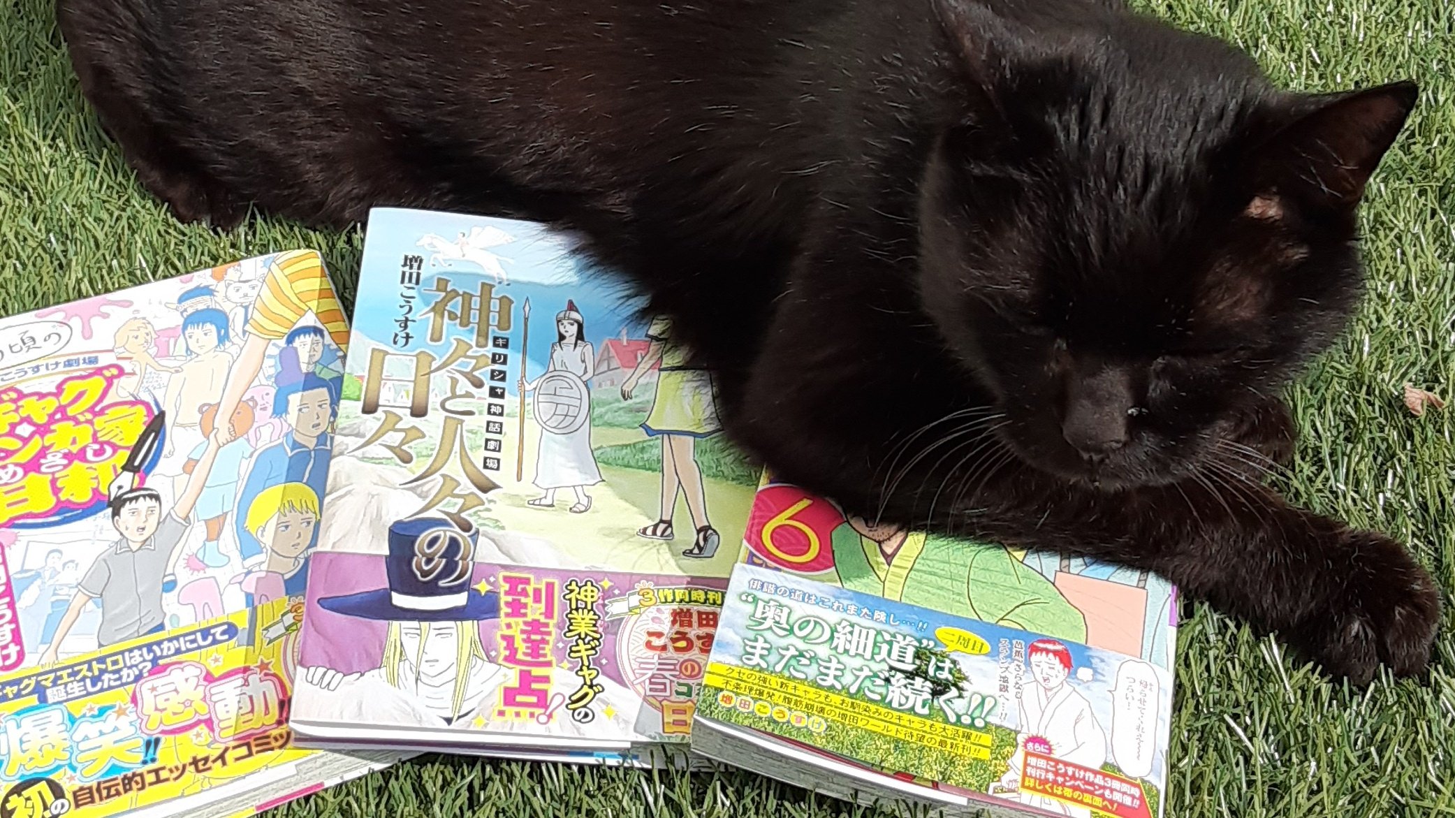 増田こうすけ (kosukemasuda62) / Twitter